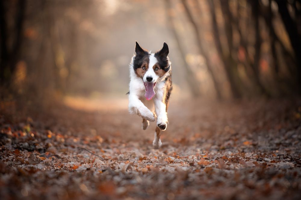 Photograph by Jakub Kudlovsky