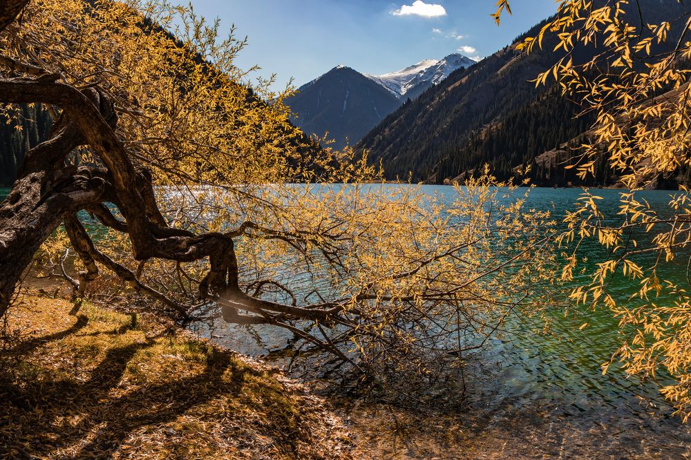 Photograph by Sergei Kidryasov