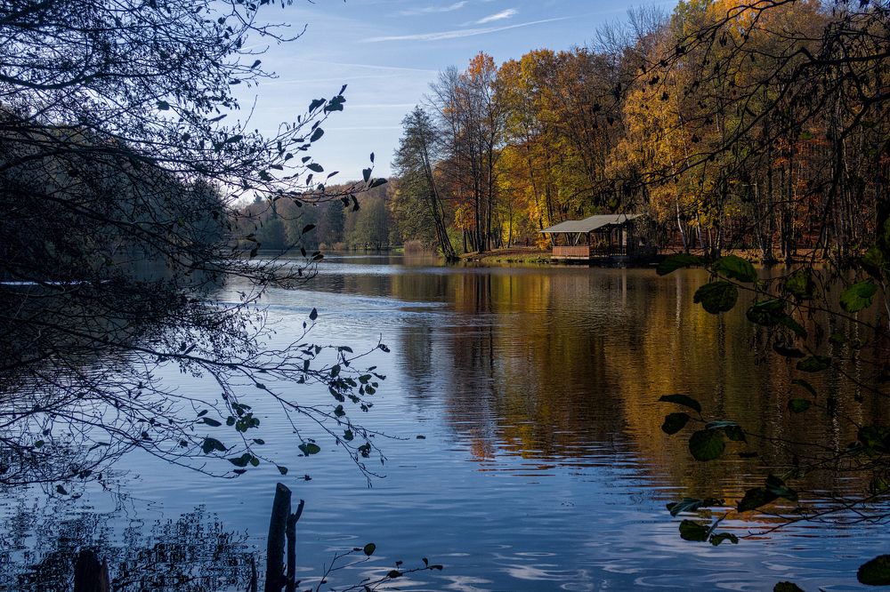 Photograph by Игорь Гомельский