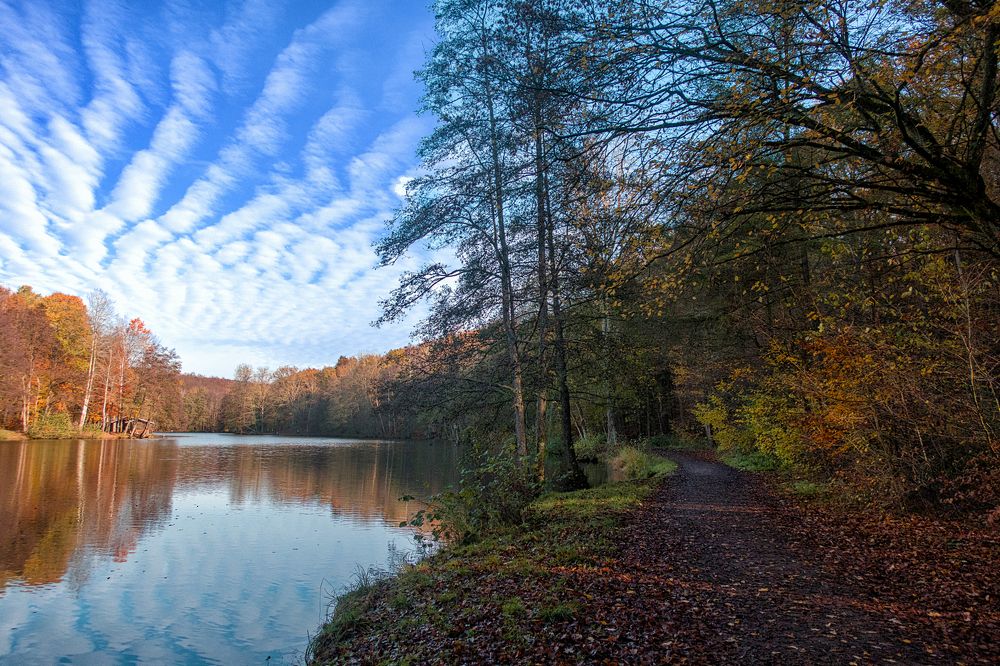 Photograph by Игорь Гомельский