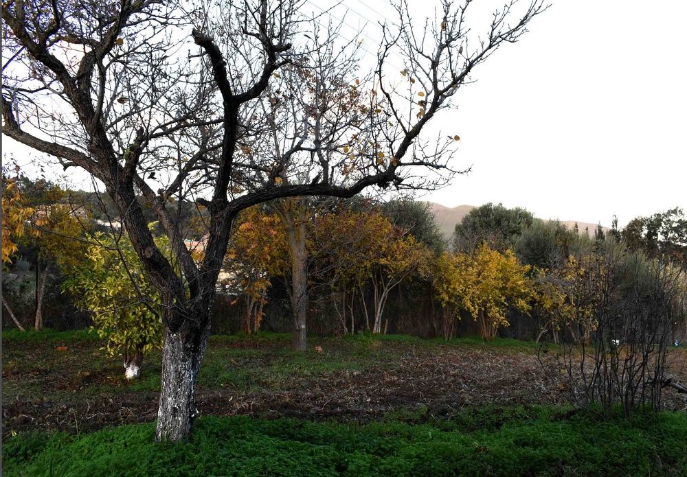 Photograph by Khaled