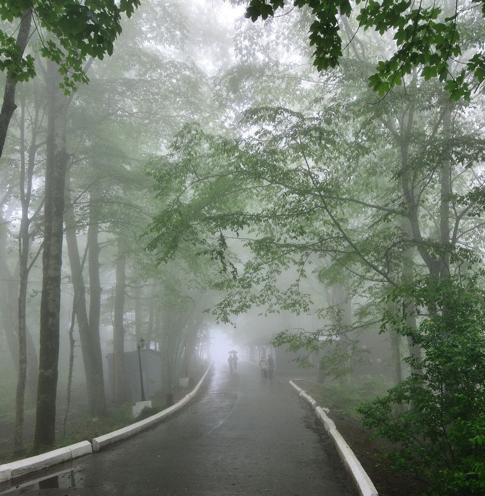 Фотография автора лилия беланова