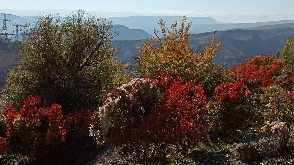 Фотография автора Курбан Курбаналиев
