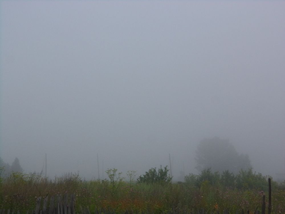 Photograph by Анастасия Старикова