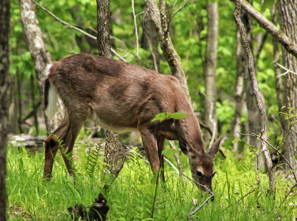 Photograph by nino nino