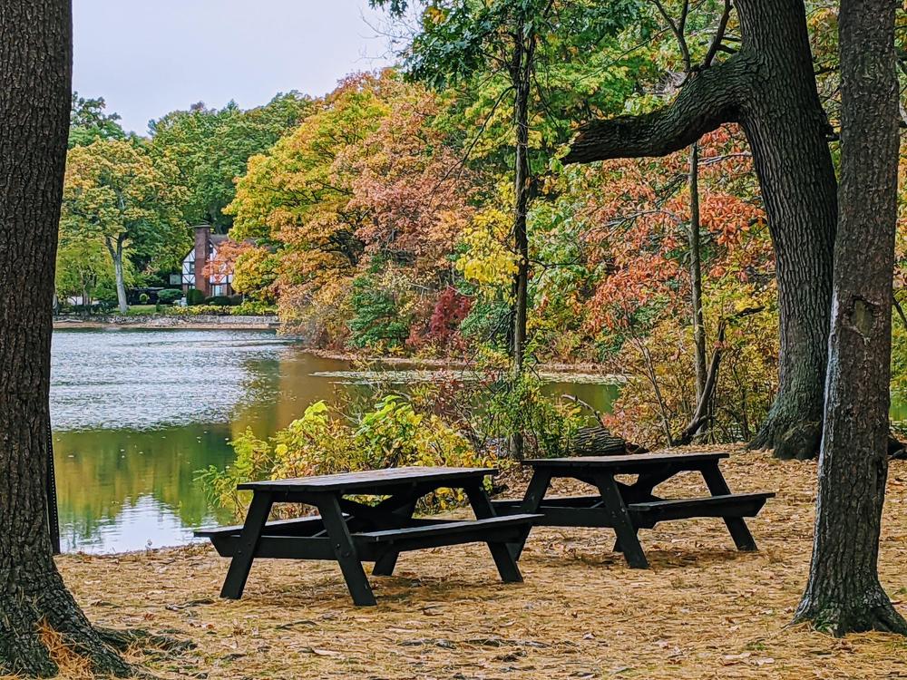 Photograph by nino nino