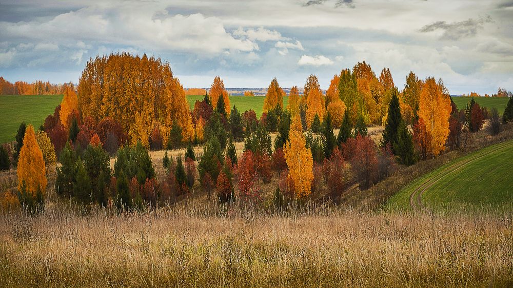 Photograph by Надежда Колеватова