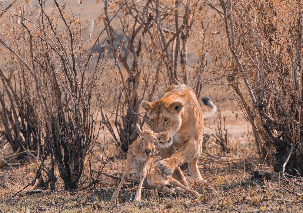 Photograph by Avani Dhanani