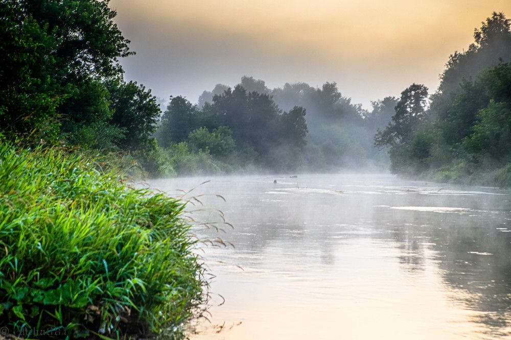 Photograph by Михаил Комраков