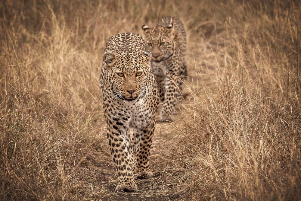 Photograph by NATALIA GOUSSEVA