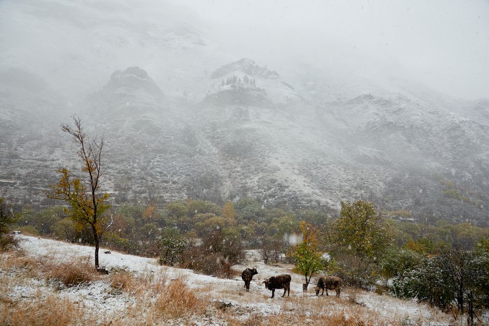 Фотография автора Сергей Фиданян