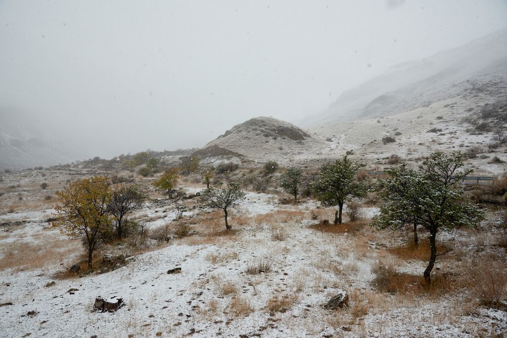 Фотография автора Сергей Фиданян