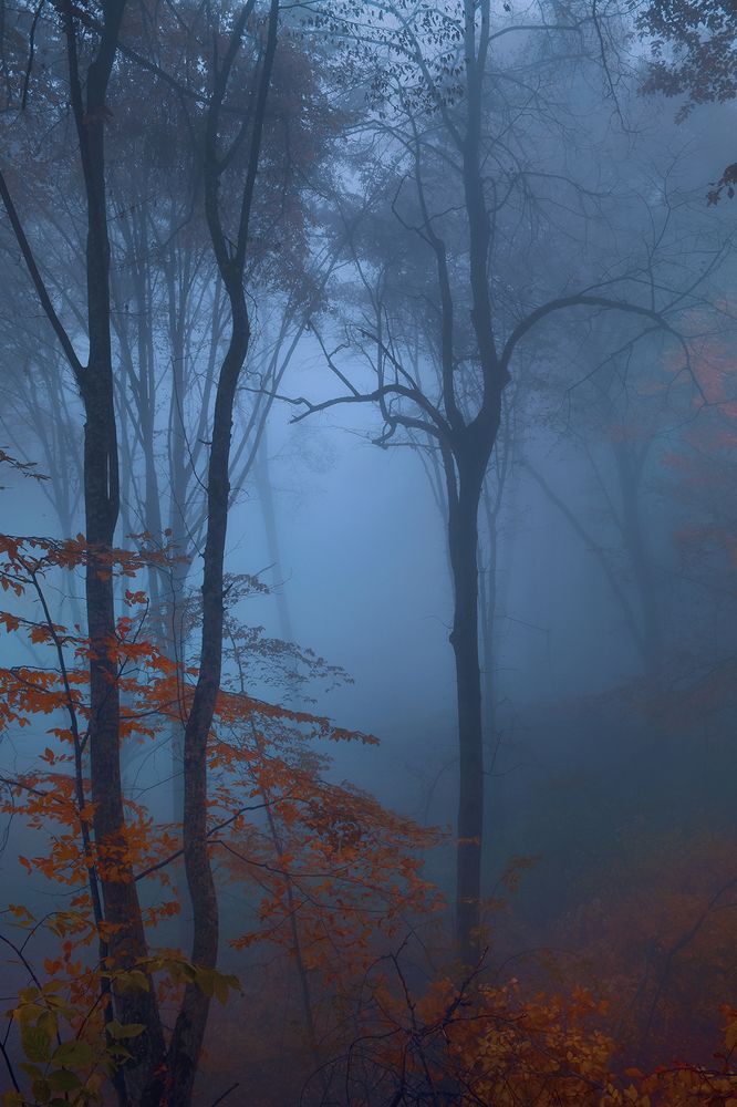 Photograph by Шипунова Ирина