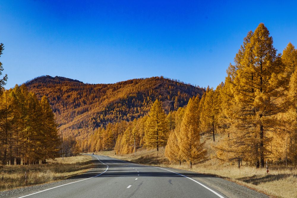 Photograph by Михаил Комраков