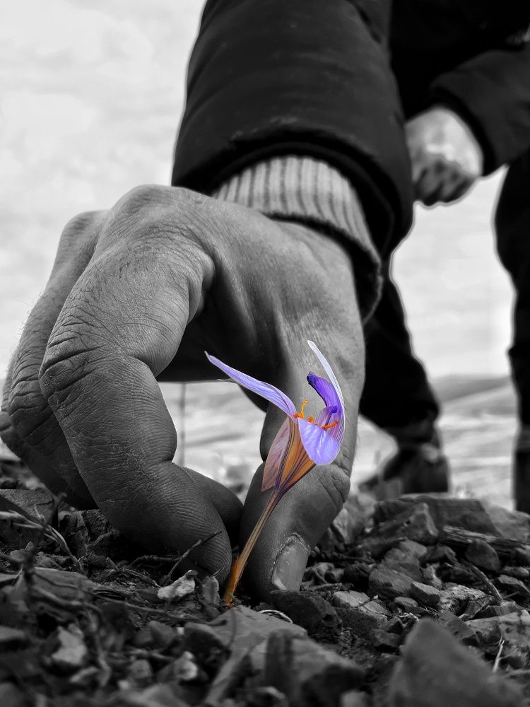 Photograph by Khosro Sayadi