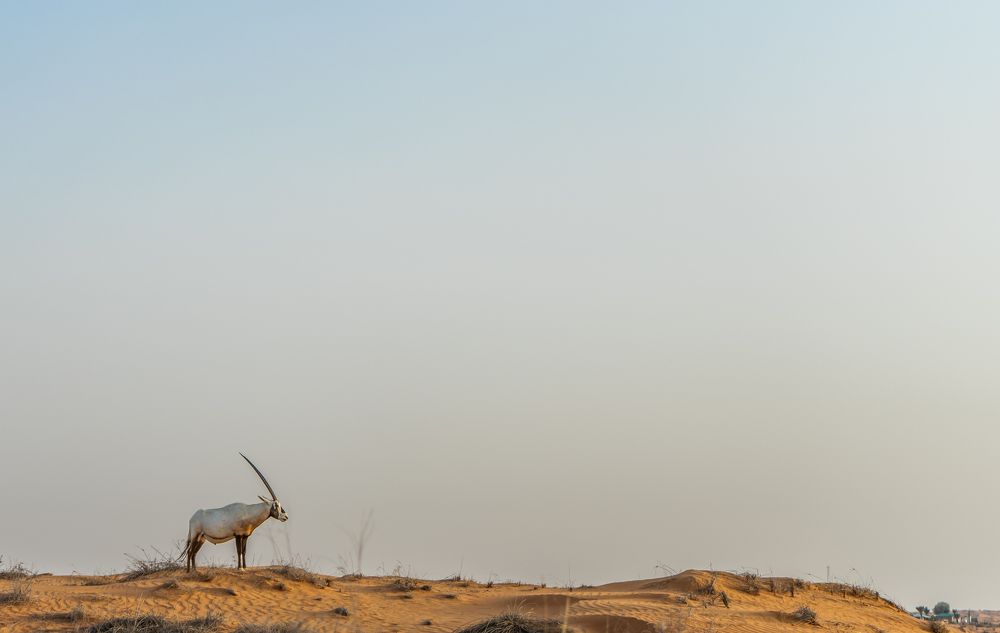 День к закату