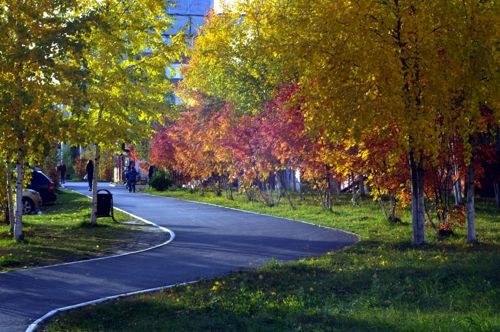 Осень в городе