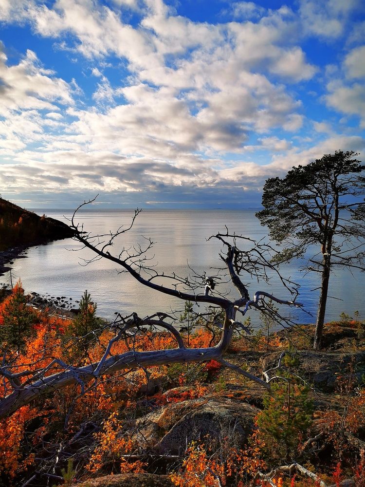 Photograph by Елена Артёменко