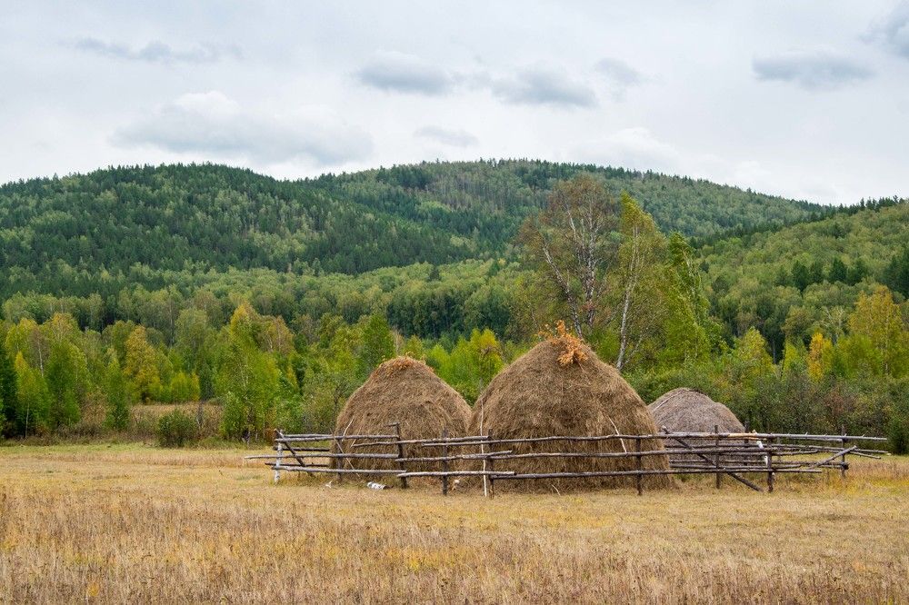 Photograph by Евгения Антропова
