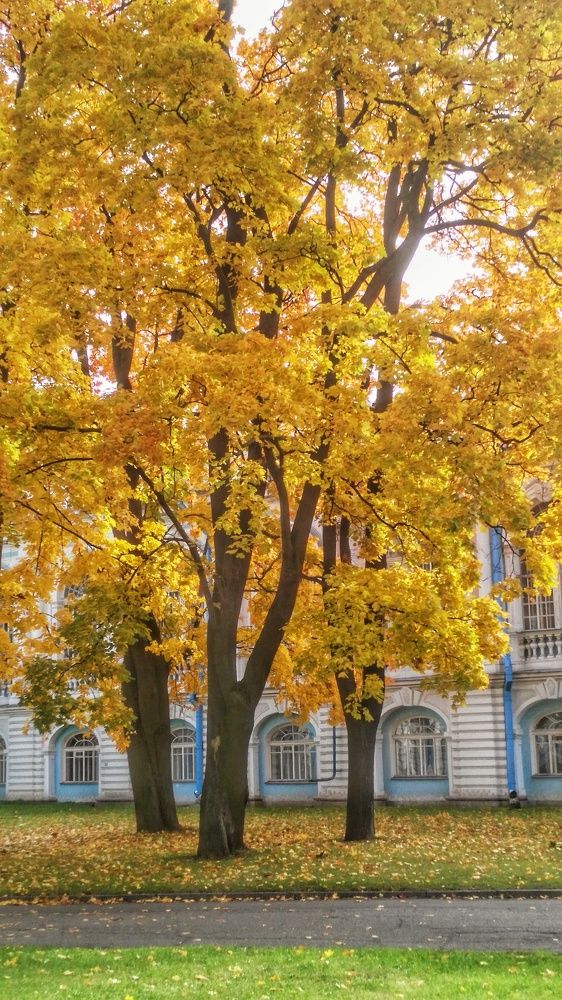 Фотография автора Виктор Крючков