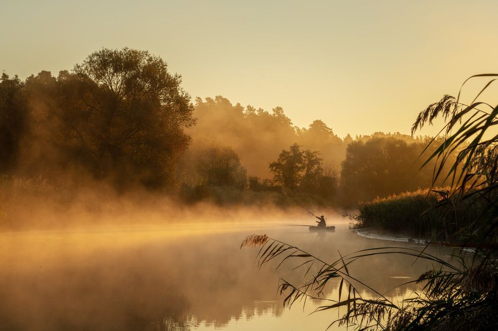 Тихая охота