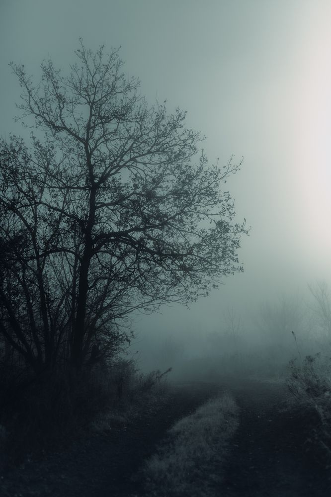 Photograph by Александр Слепцов