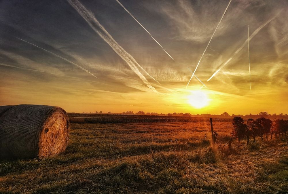 Photograph by Eva Wiedemann