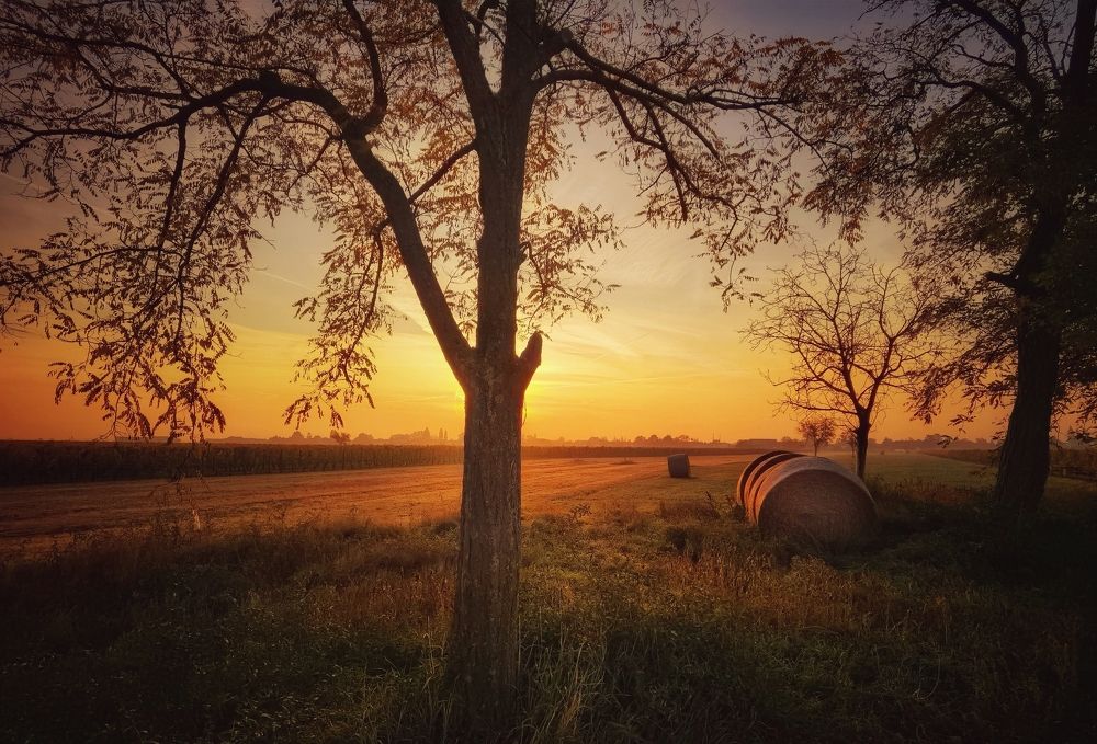 Photograph by Eva Wiedemann