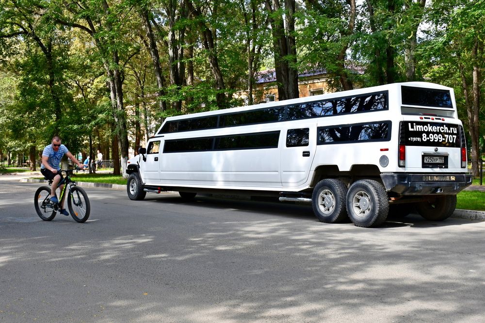 Photograph by Бахарева Людмила