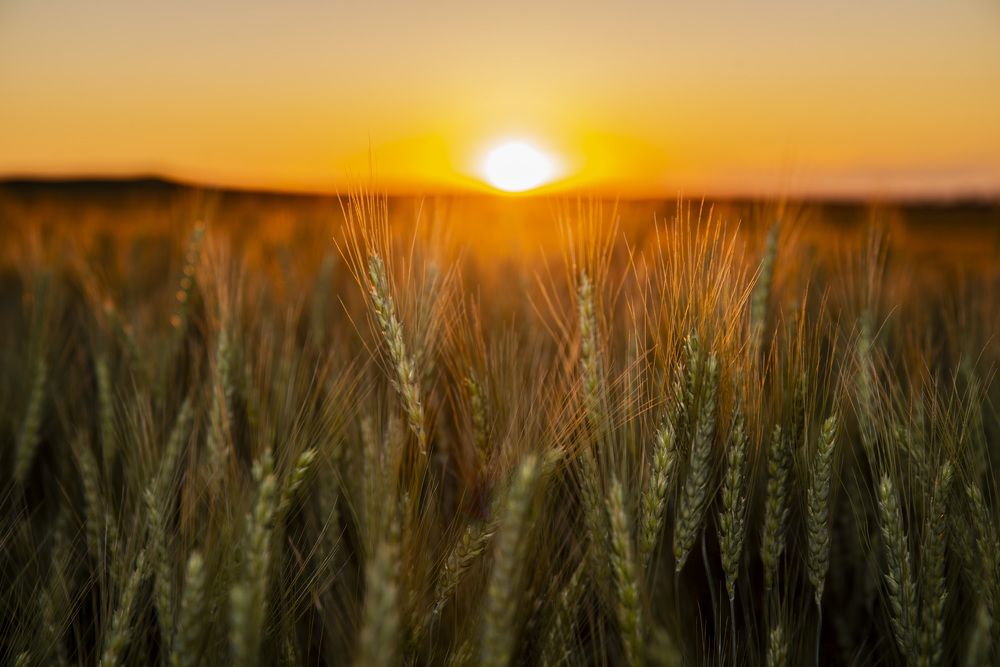 Photograph by Валерий Лейко