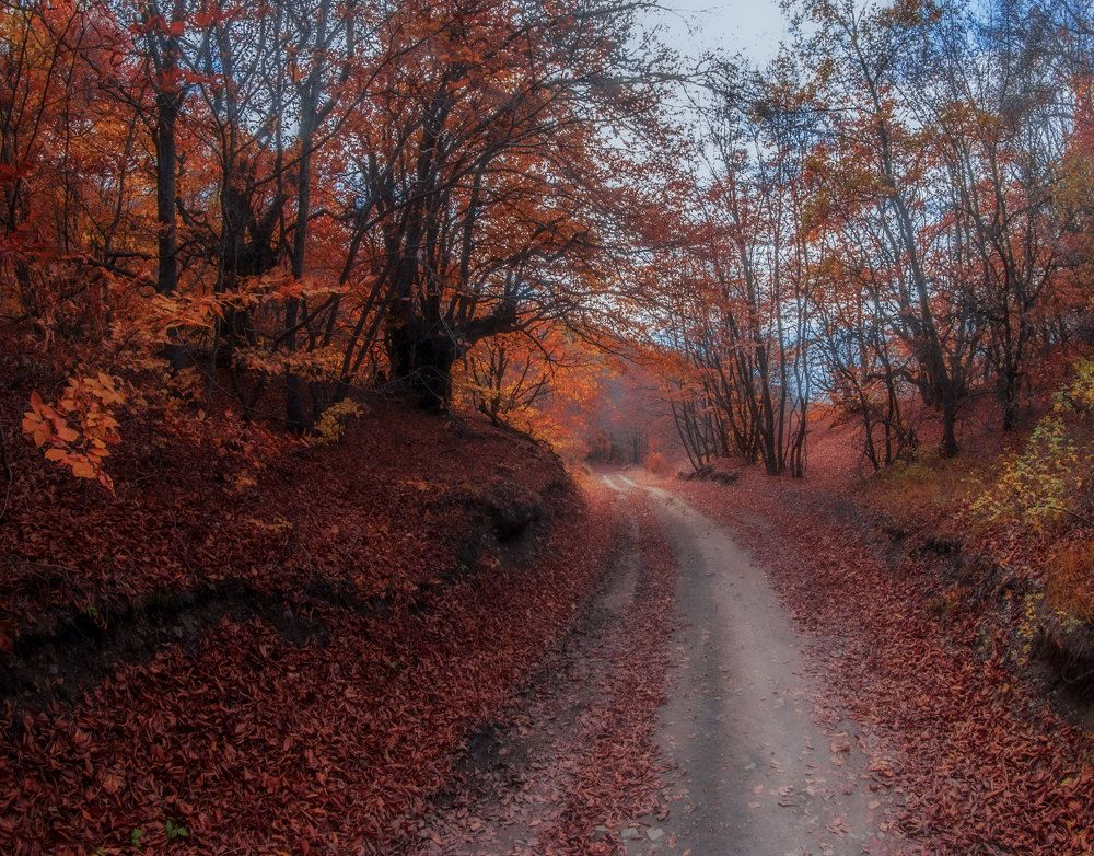 Photograph by Игорь Прошаков