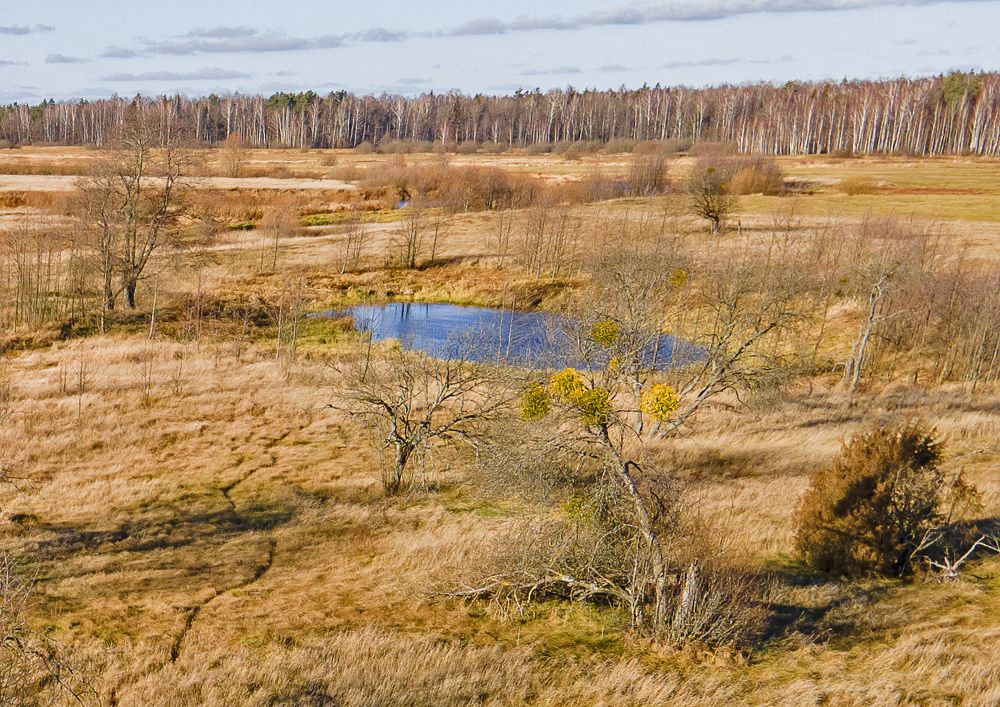 Photograph by Алла Толстая