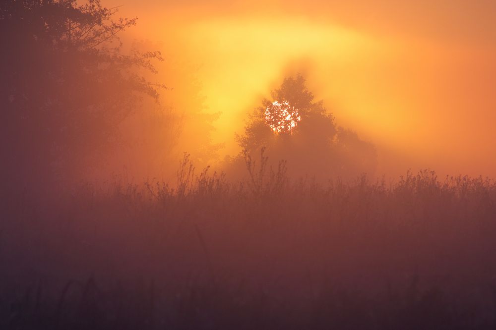 Photograph by Виктор Тулбанов