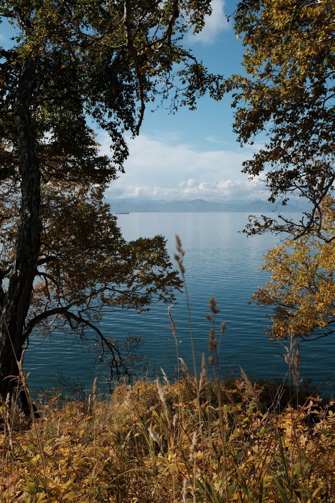 Фотография автора Ирина Копылова