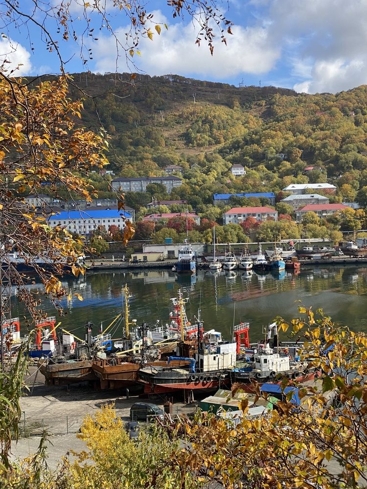 Фотография автора Ирина Копылова