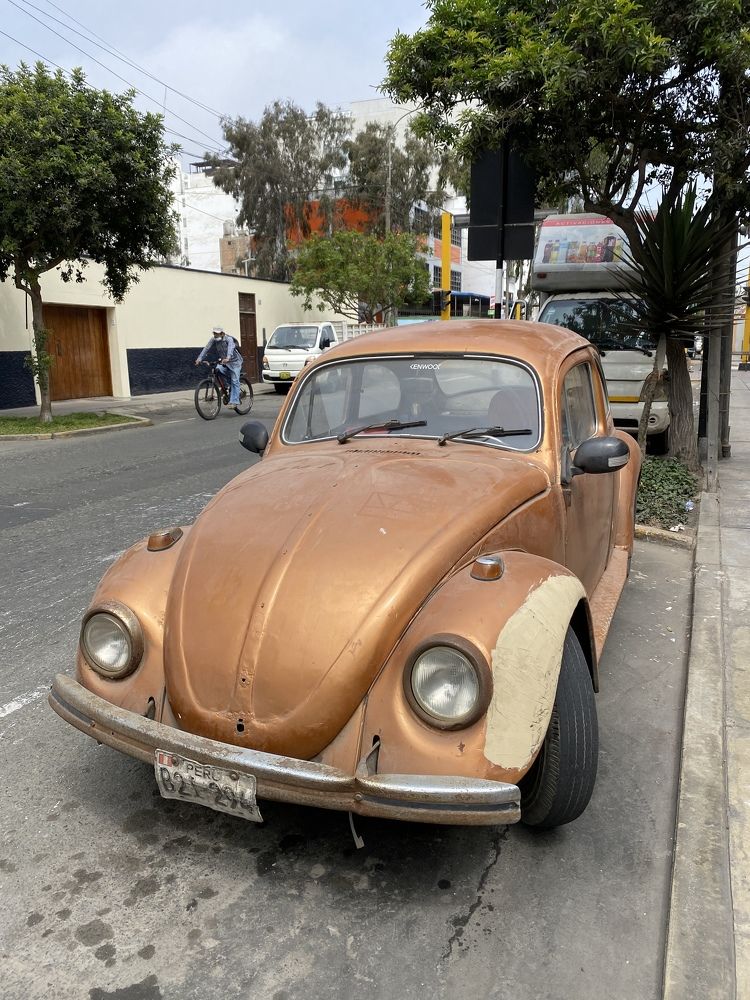 Фотография автора Ирина Копылова