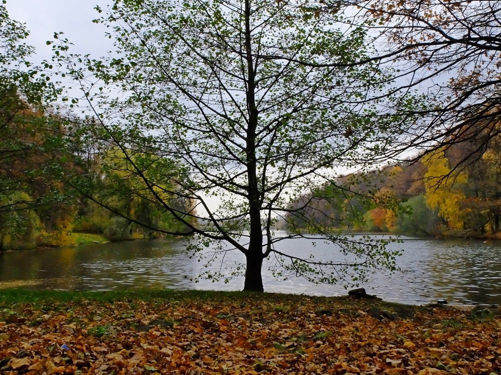 Photograph by ,Бурова Лариса