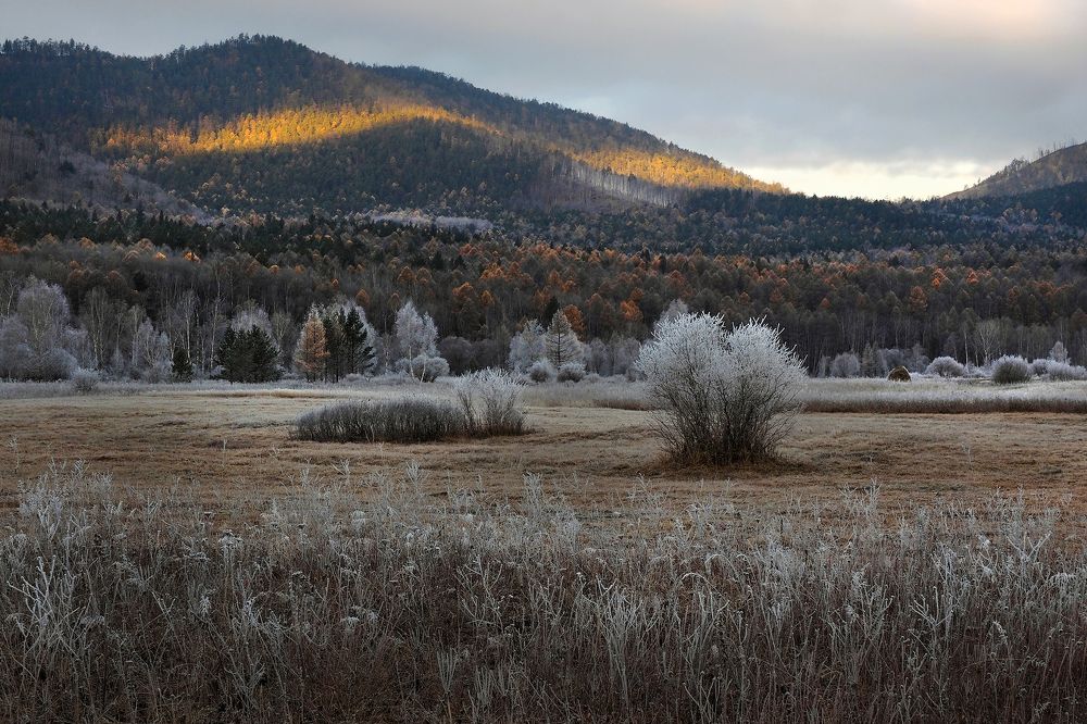 Photograph by Александр Попов
