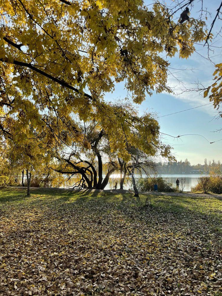 Фотография автора Юлия