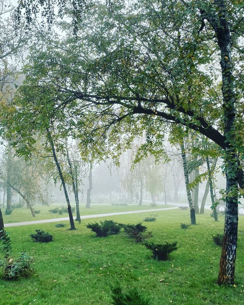 Фотография автора Юлия