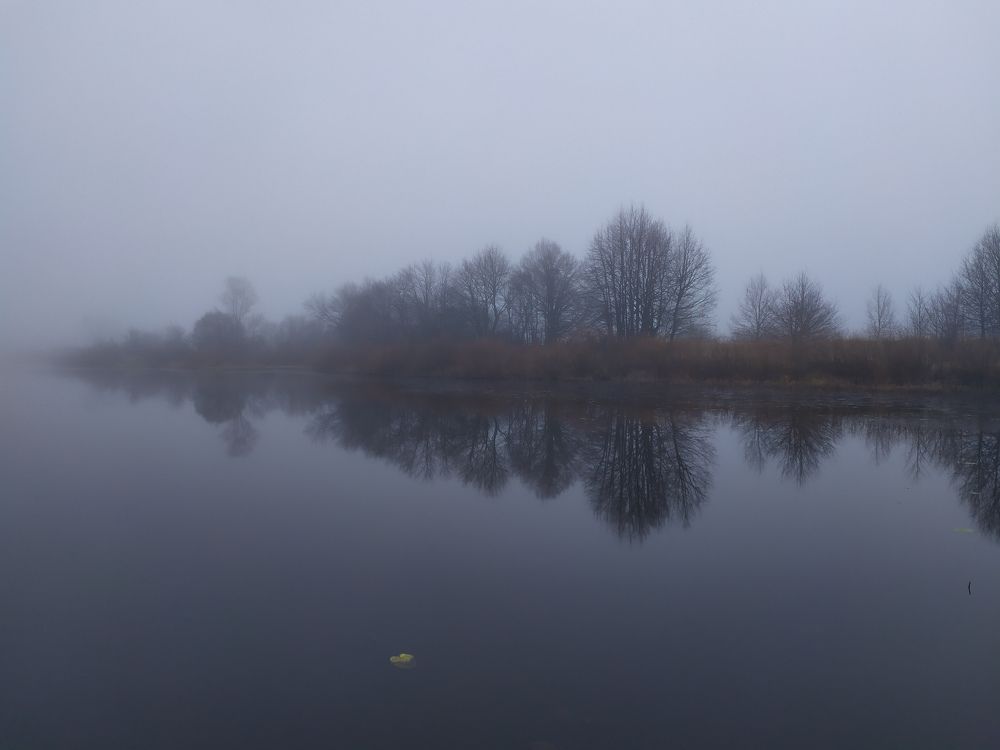 В туманную бездну...