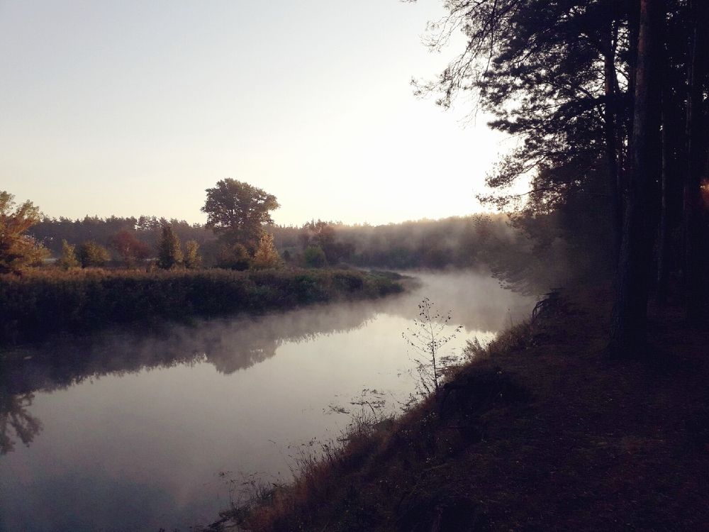 Photograph by Victoriia