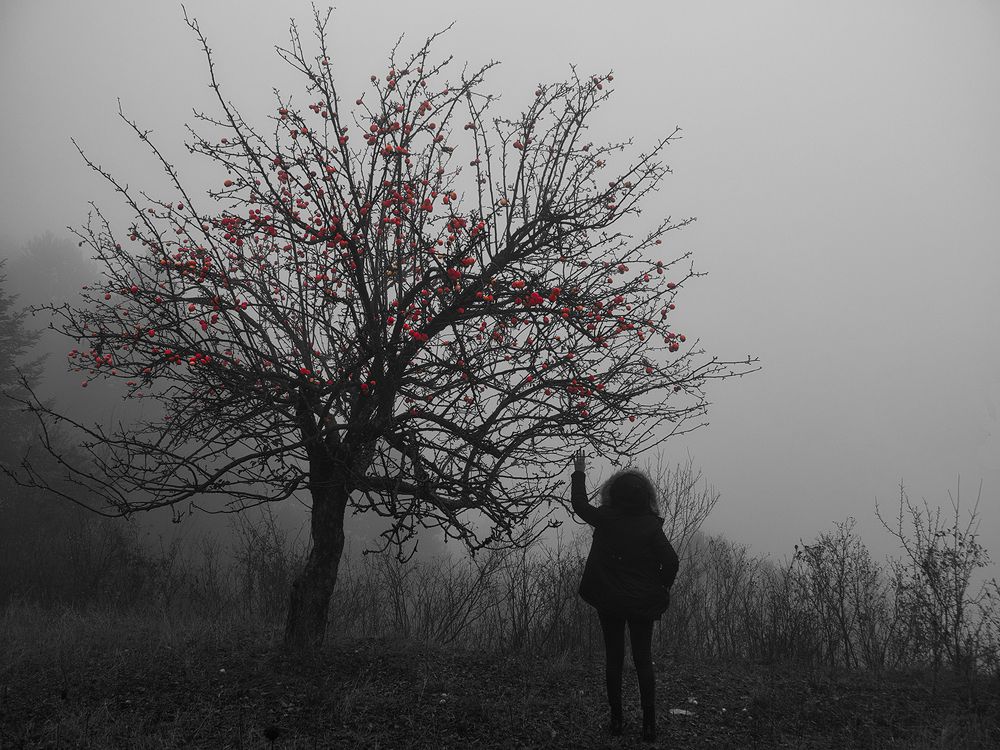 Photograph by Georgios Pallas