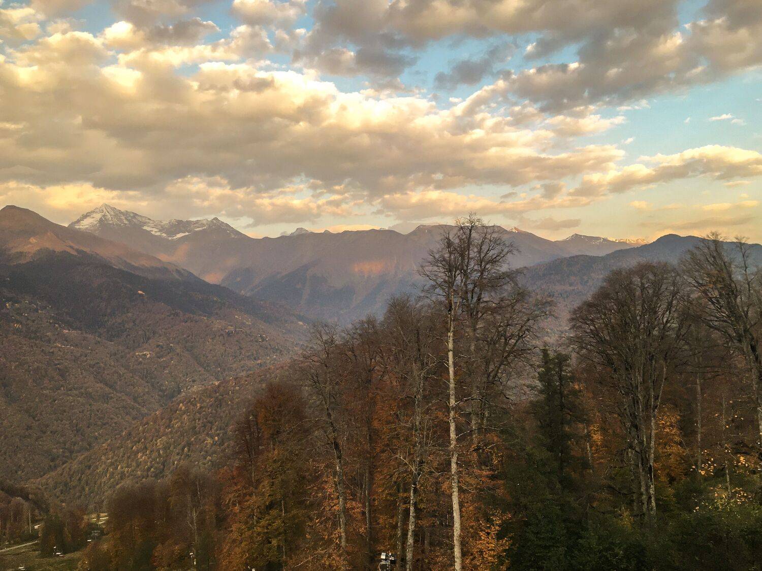 Photo #6748827