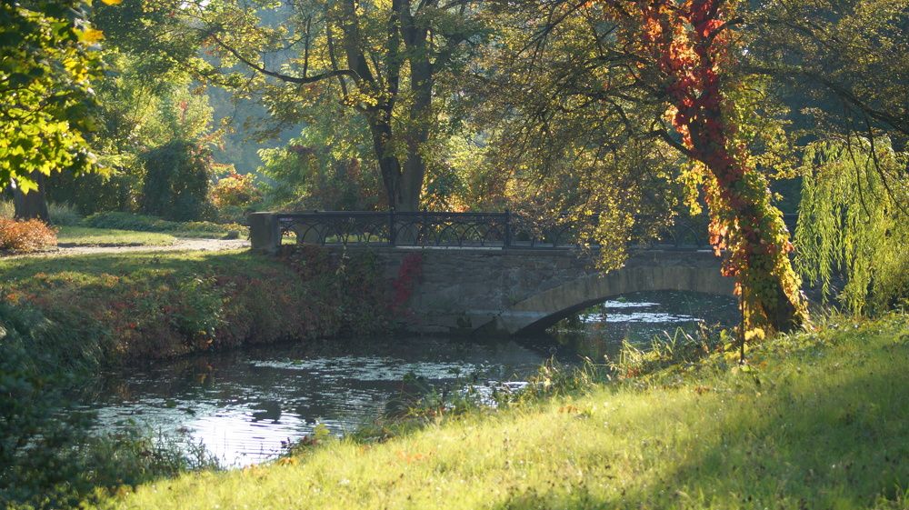 Фотография автора Наталия Привал