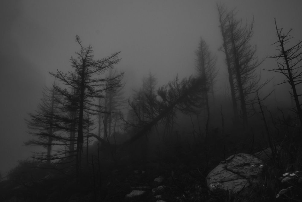 Photograph by Александр Сергиенко