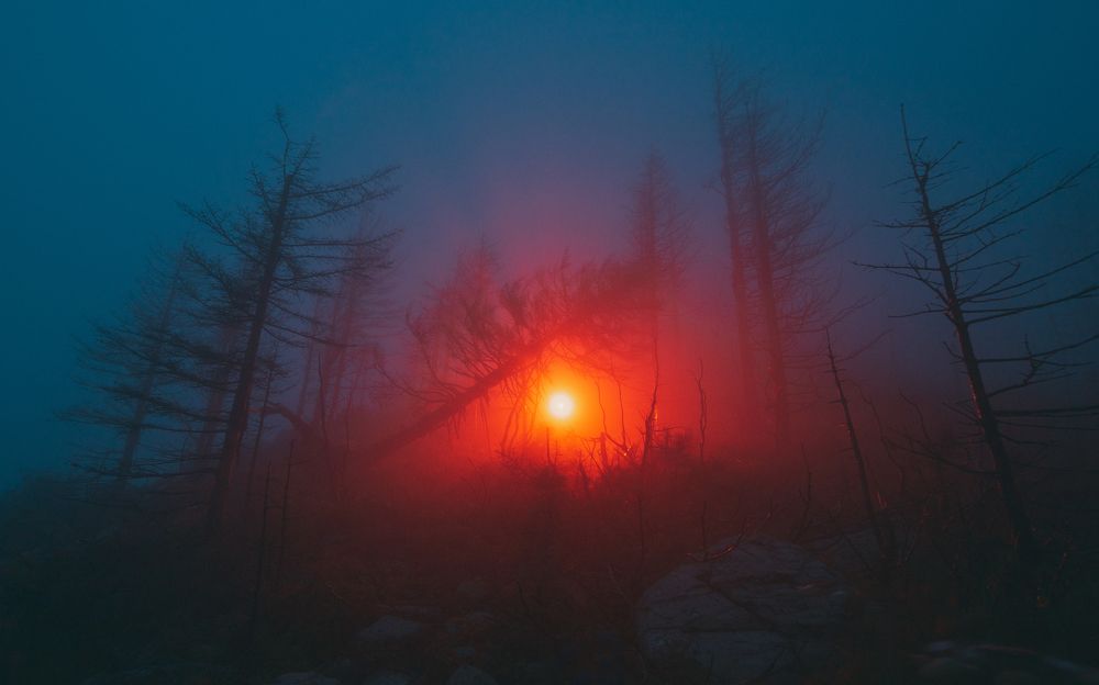 Photograph by Александр Сергиенко