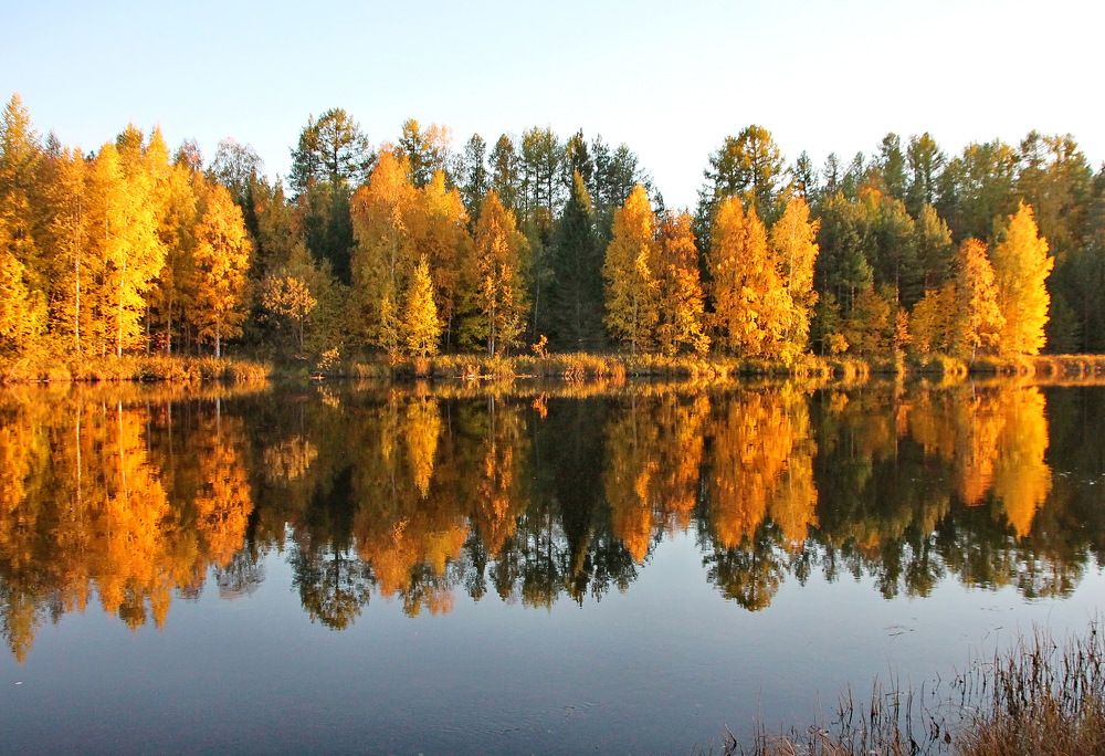 Оранжевая осень в оранжевых лучах.