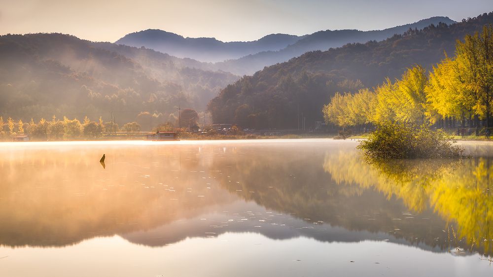 Reflection of autumn colors