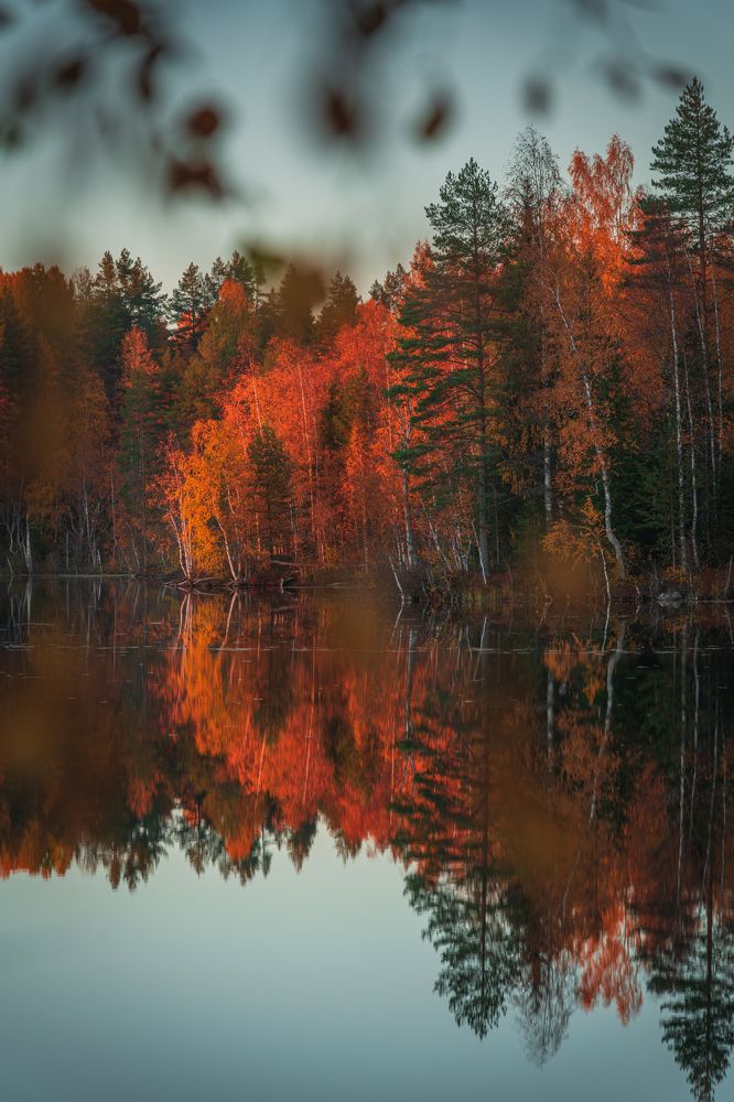 Photograph by Денис Кошкин